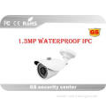 H.264 Megapixel IP Camera P2P , Waterproof Security Camera